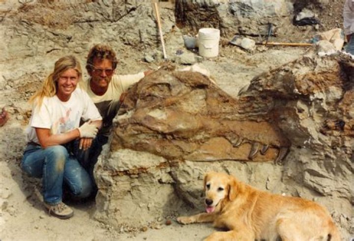 Trey Hendrickson Parents: Meet Louise And Collie Hendrickson