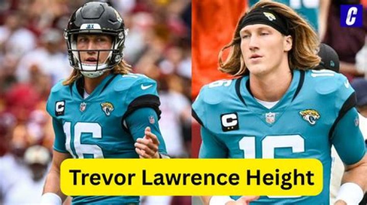 Who Is Trevor Zegras?, Age, Height, Weight, Career, Family, Net Worth